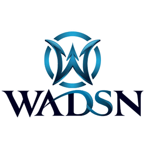 WADSN airsoft scopes, parts and tactical accessories at Bullseye Country Sport UK
