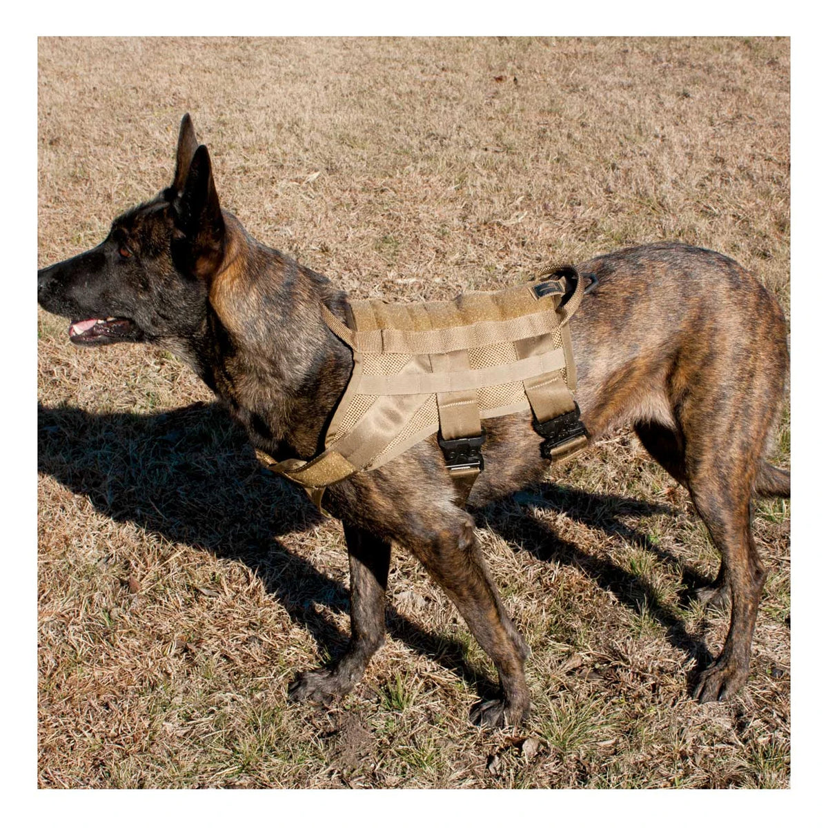 United States Tactical Patriot K9 Dog Vest Harness Black